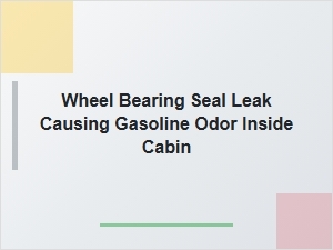 Gasoline Odor From a Wheel Bearing Seal Leak